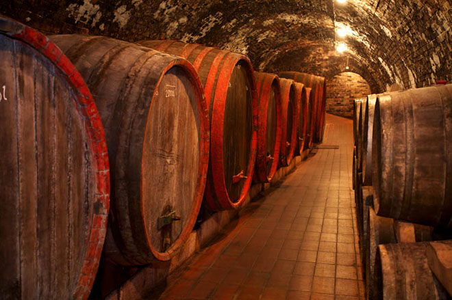 Wine tours Wine tours