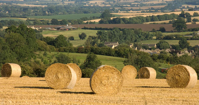 agriculture agriculture