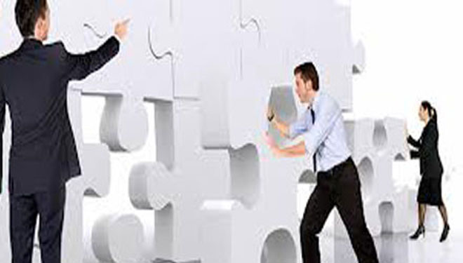 professional_ professional_