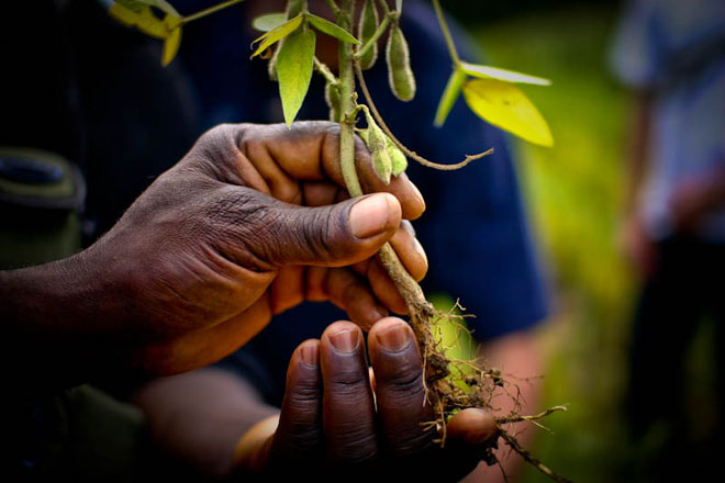Agriculture Agriculture