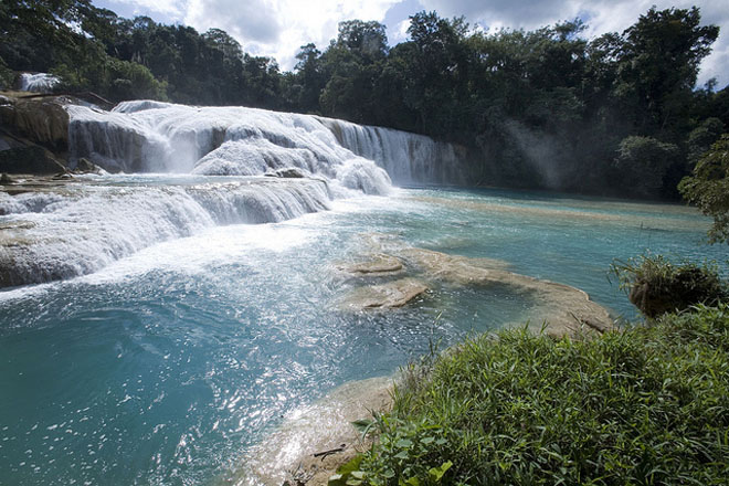 environment environment